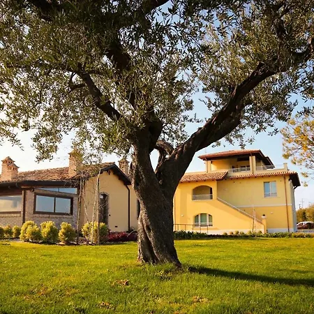 Agriturismo BioCore 2 - Colledoro-2